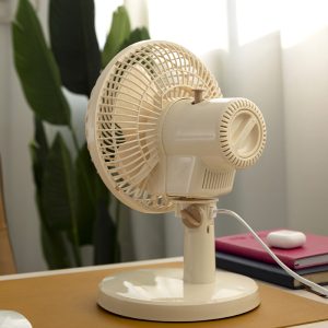 Ventilator 3 Trepte Viteza cu Picior 20x23x43 cm, Engros